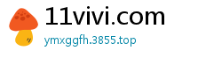 11vivi.com